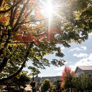 Meet your Posher, Dani